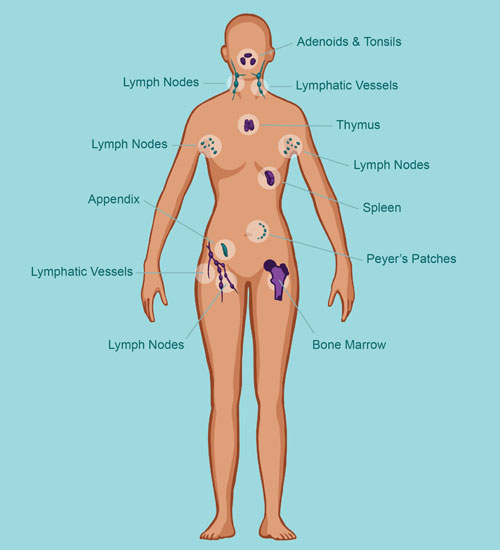 Dermatitis rash viral disease with immunodeficiency on body of